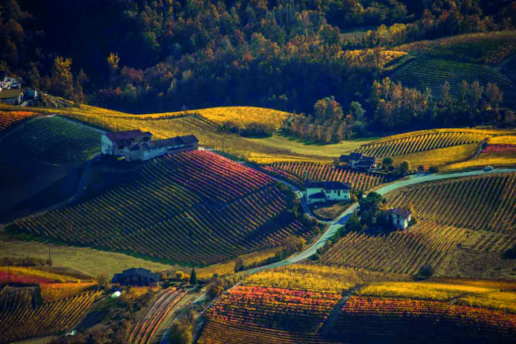 immagine di copertina Paesaggi Vitivinicoli Langhe, Roero, Monferrato (UNESCO)